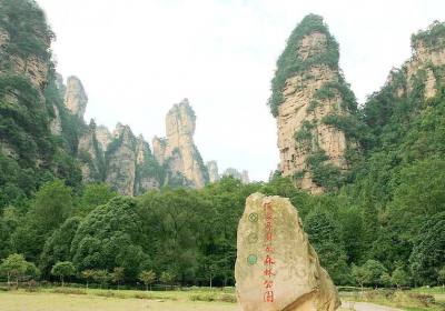 走湘西——張家界、鳳凰古城游記(一)